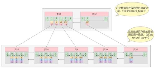 MySQL存储引擎深度解析 InnoDB与MyISAM的索引数据结构及其数据处理与存储服务