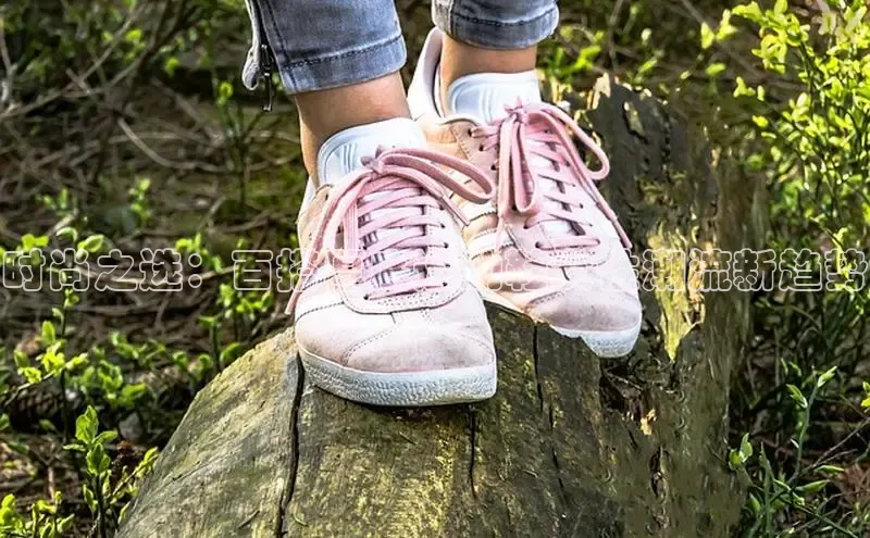 龙八头号玩家账号